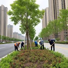 2026美加墨世界杯官网 台州市政绿化招标