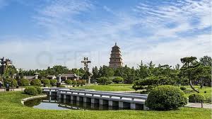 世界杯官网 仙桃园林绿化学会